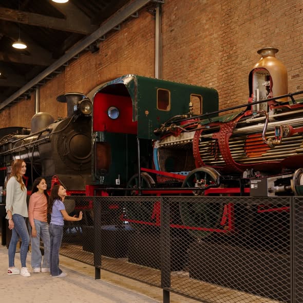 Sim Train